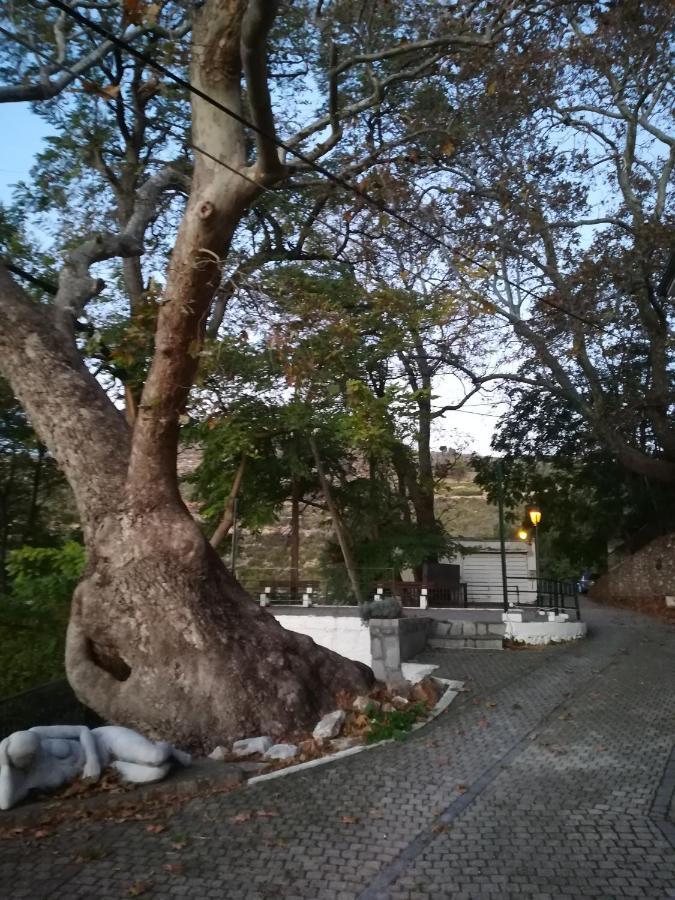 Apartamento Eden View Sotir Exterior foto